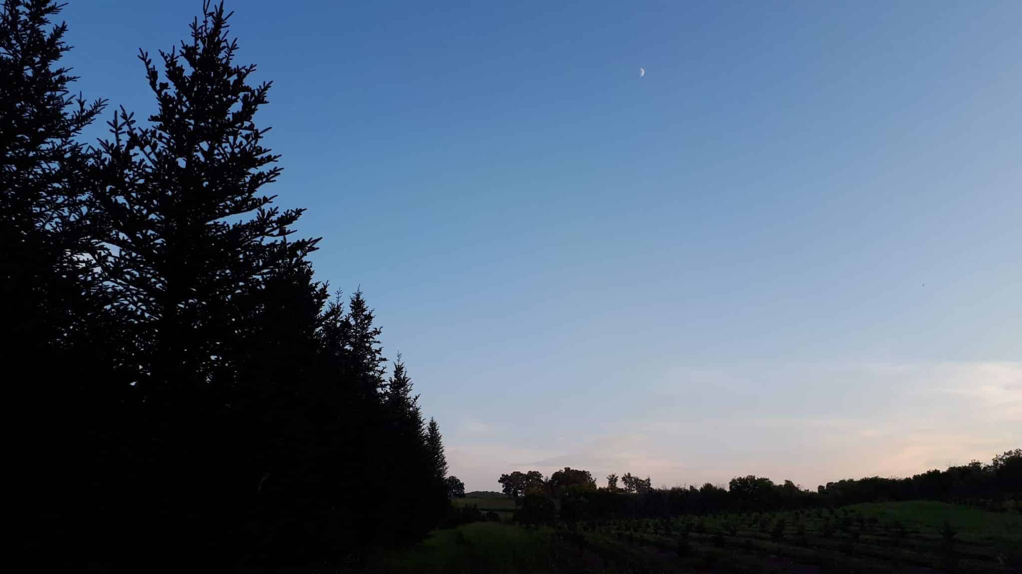 Scopri di più sull'articolo Chiusura Estiva e Lezioni di prova per l’anno scolastico 2024/25